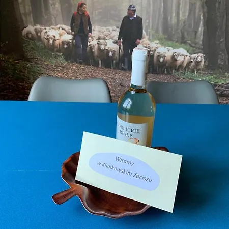 Klimkowskie Zacisze - Caloroczny Lodge *