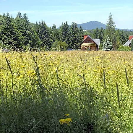 Klimkowskie Zacisze - Caloroczny * Klimkówka